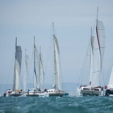 Outremer Cup